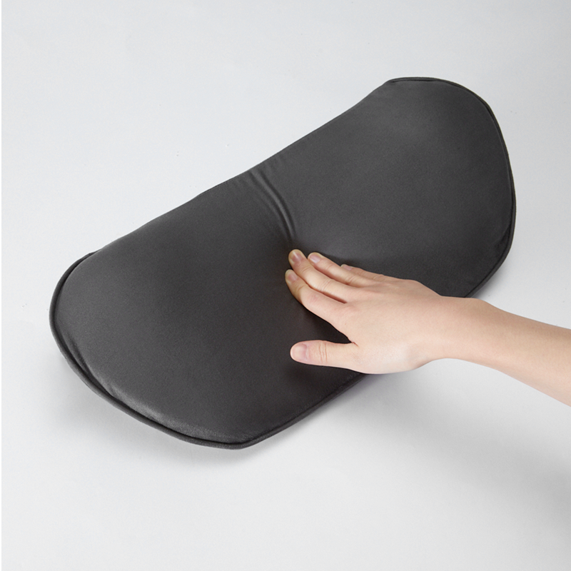 XPENG Lumbar Back Support