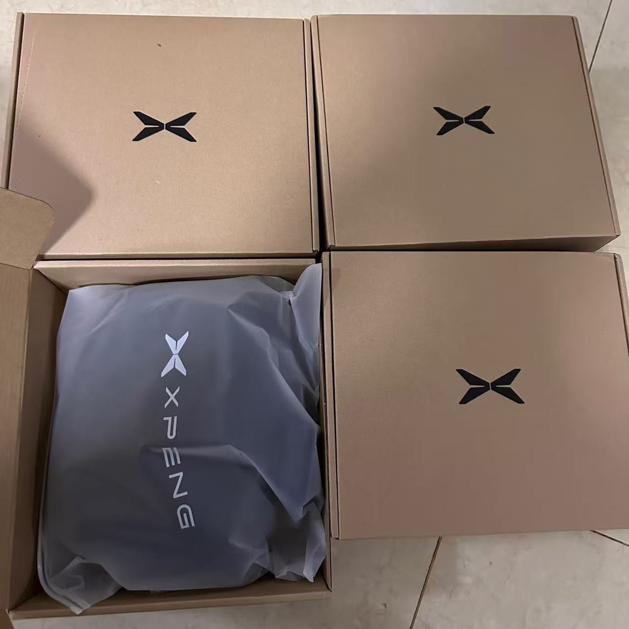 XPENG Headrest