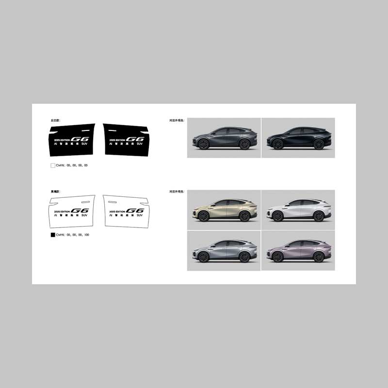 G6 Test Drive Car Sticker - 1 set